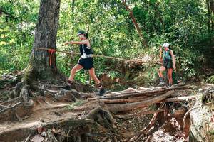 BIB: 
                            <button type="button" onclick="openModal(27718106)" class="btn btn-primary btn-sm float-right btn-popup" data-toggle="modal" data-target=".modal-high-quality">
                        <i class="fas fa-shopping-cart"></i> Add to Cart
                    </button>
                                            <button type="button" onclick="isThisMe(27718106, true)" class="btn btn-success btn-sm float-right btn-popup btn-isme hidden" data-toggle="tooltip" data-placement="bottom" title="นี่คือรูปของคุณใช่ไหม คลิกที่นี่เพื่อเอาเข้าอัลบั้ม">
                        <i class="fas fa-plus"></i> Add to album
                    </button>
                    <button type="button" onclick="isThisMe(27718106, false)" class="btn btn-warning btn-sm float-right btn-popup btn-isnotme hidden">
                        <i class="fas fa-ban"></i> Remove from album
                    </button>